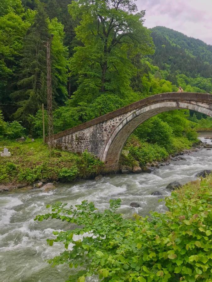 Dd Boutique Hotel Ardeşen Dış mekan fotoğraf